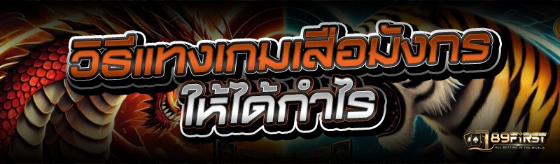 วิธีแทงเกมเสือมังกร ให้ได้กำไร
